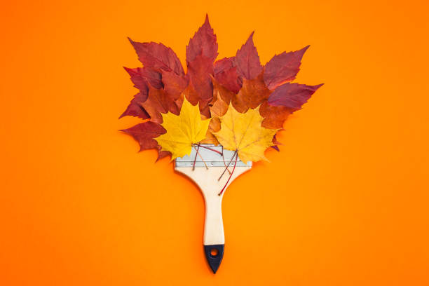 istock Paint brush with dry bright autumn leaves concept 1056018288