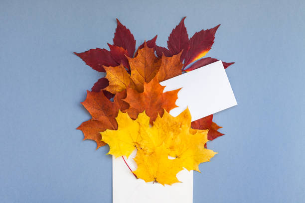 istock Autumn leaves in paper envelope mockup 1056018628