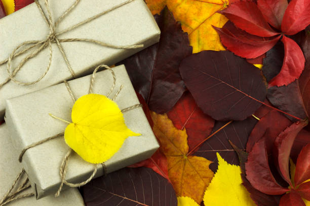istock three gift boxes on the background of leaves with hearts 1056022934
