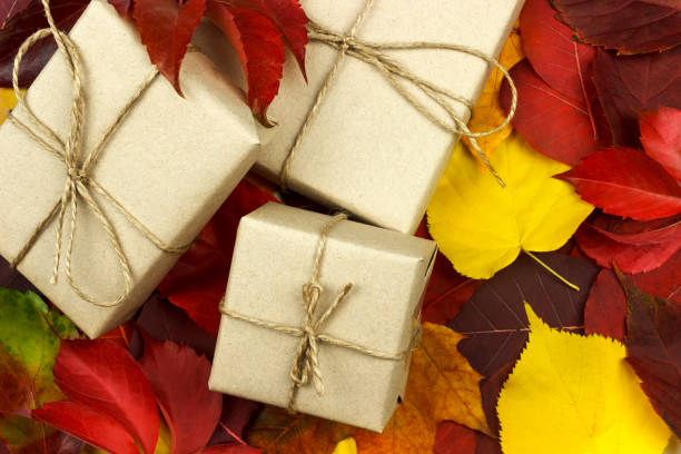 istock three gift boxes on the background of leaves 1056022940