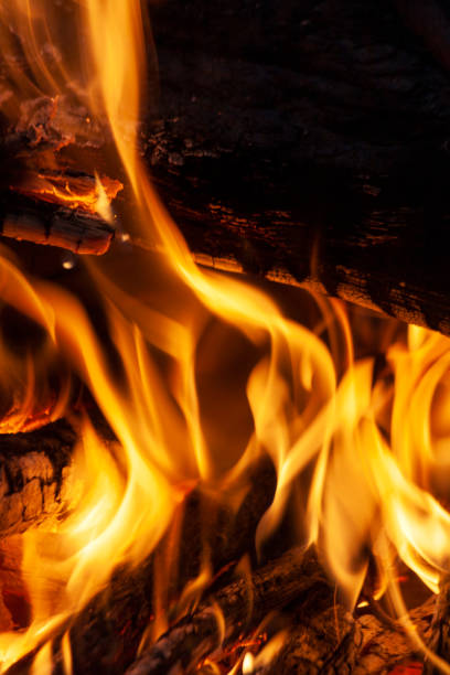 istock Fire, flames on a black background. Fire for advertising. 1056028808
