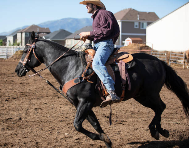 istock Cowboy riding at rodeo arena 1056033366