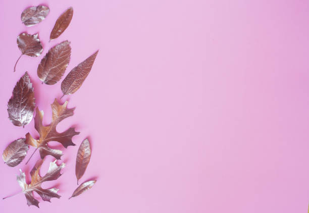 istock Golden dry leaves on pastel pink background with copy space 1056035712