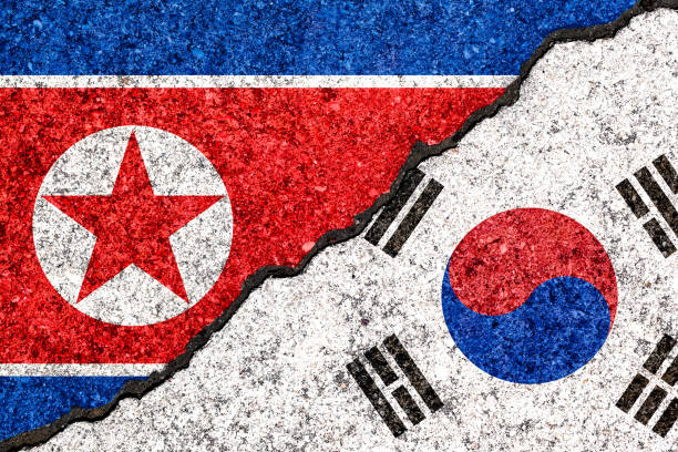 флаги южной кореи и северной кореи, нарисованные на треснувшей стене на фоне/южная корея против концепции конфликта в северной корее - korean peninsula стоковые фото и изображения