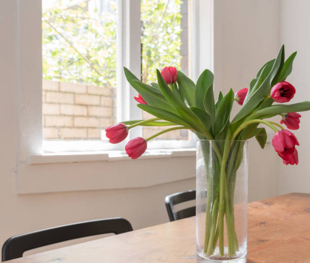 istock Red tulips in glass vase on wooden table with window 1056039800