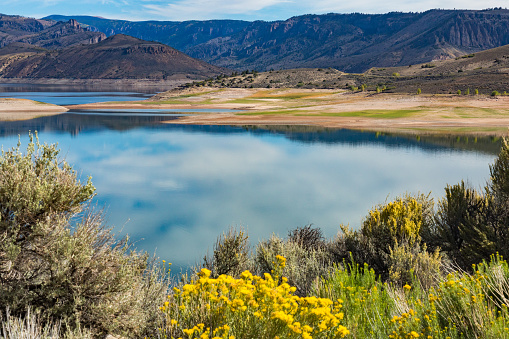 Blue Mesa Reservoire, Gunnison, Colorado