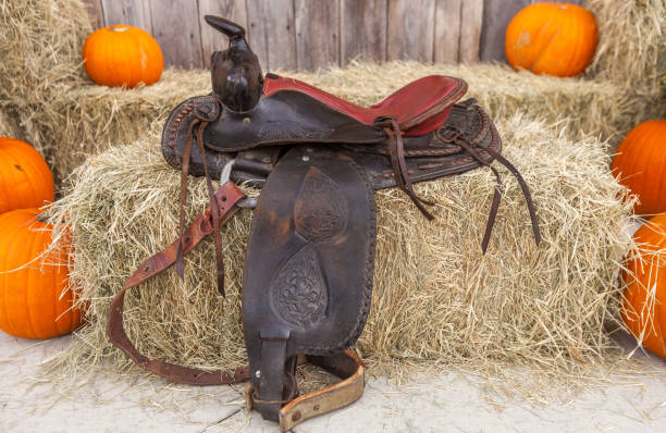 Leather saddle on hay bales with pumpkins stock photo