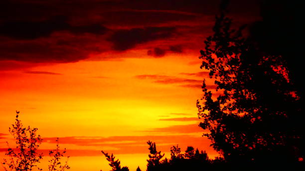 istock The sunrise glow in a landscape of deciduous trees 1056054088