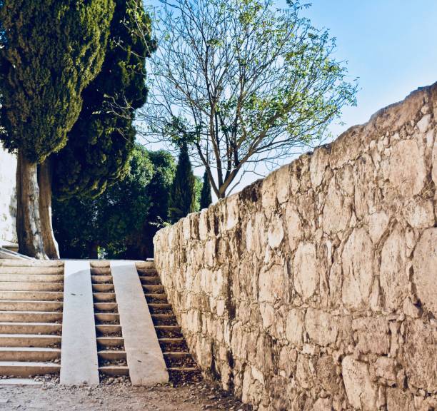 Bright colored old stones and green pine trees in the garden with stairs.