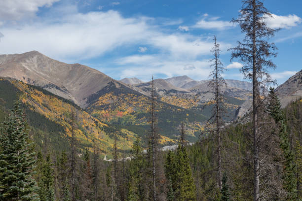 istock Fall Season in Colorado 1056057700