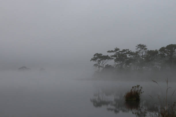 istock Nature tress reflection on water surface with mist beautiful background at Thailand river in the morning time 1056057844
