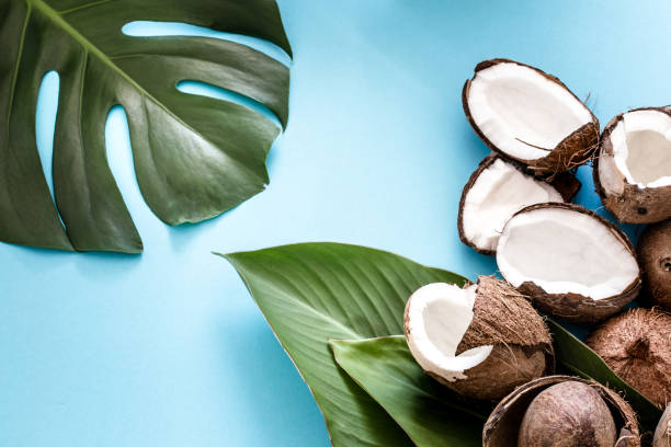 istock Coconut with tropical leaves on a blue background. Flat 1056063818