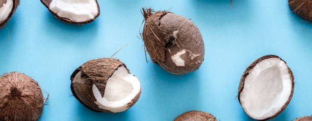 fresh coconut halves on a blue background, - nut directly above multi colored food imagens e fotografias de stock