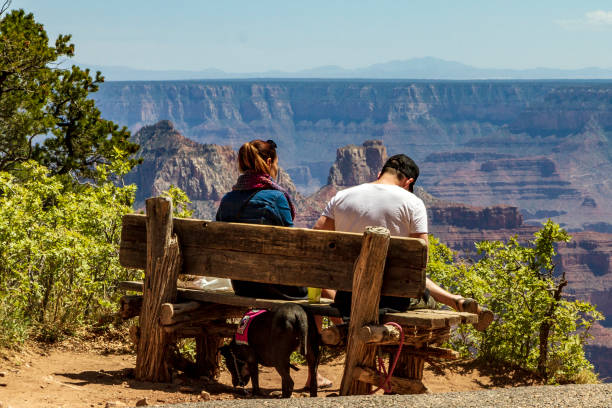 istock Grand Canyon Couple looking 1056065704