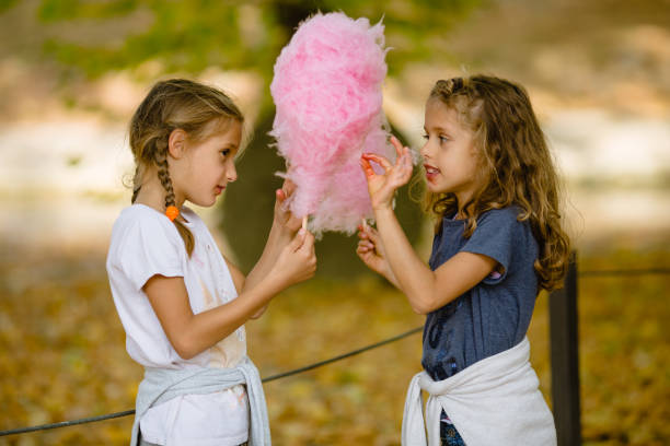 Two girls eating cotton candy in the park Beautiful photography of two schoolgirls, 7 year old children, eating cotton candy in park. The shot is taken in autumn, lots of fallen leafs on ground. Cotton candy is big and pink color. One girl has curly hair, other has braids. Twin sisters are blond to brown hair.  Trees in blurred background, bokeh. Dressed in white and navy blue t-shirts. Kids are happy, eating sweet food. Candy is fluffy and huge. Sugar wool. child cotton candy stock pictures, royalty-free photos & images