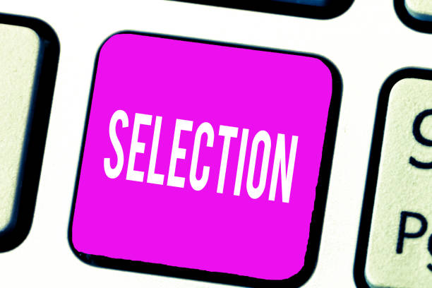 istock Handwriting text Selection. Concept meaning Carefully choosing someone or something as being the best 1056072424