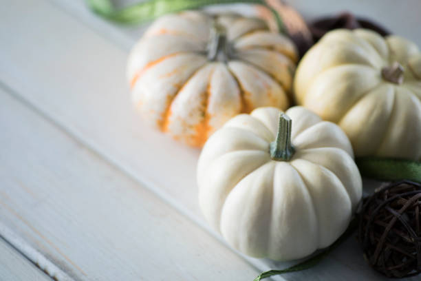 istock Autumn high key White pumpkins on wood background 1056080354