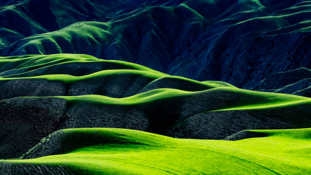istock Karajun grassland,xinjiang,china 1056083850