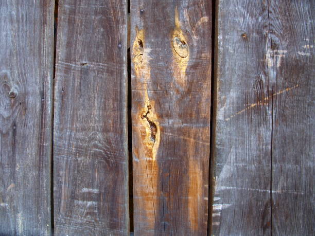 istock An old building door is a fragment 1056084990