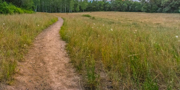 istock Hiking trail on a grassy field in Provo Utah 1056087102