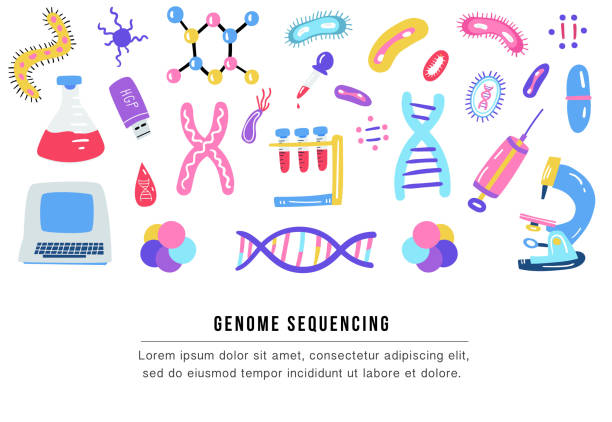 ilustraciones, imágenes clip art, dibujos animados e iconos de stock de ilustración de la secuencia de genoma de dibujado a mano. símbolos de tecnología de la investigación de adn humano. - nucleotides