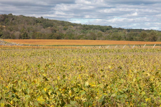 istock Gettysburg National Military Park 1056090944