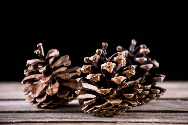 istock Pine cone on rustic wooden desk and black background 1056093368