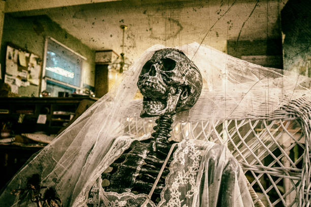 squelette de mariée portant le voile de mariée et de la lune de miel lingerie de mariage - dead body photos et images de collection