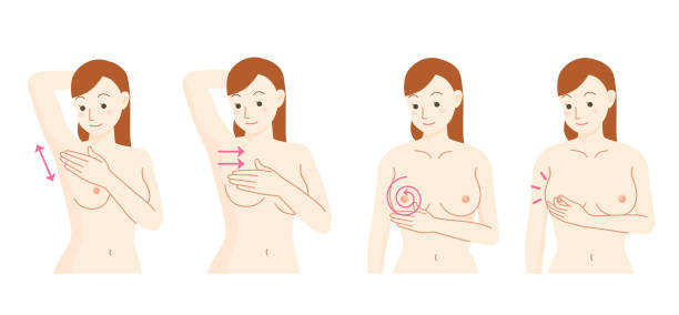 Breast cancer self-palpation set Breast cancer self-palpation set papilla stock illustrations