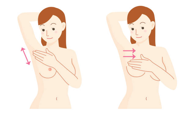 Breast cancer self-palpation set Breast cancer self-palpation set papilla stock illustrations