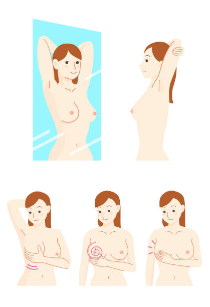 Breast cancer self-palpation set Breast cancer self-palpation set nipple stock illustrations