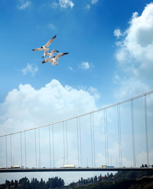 istock Istanbul Bosphorus Bridge, cable-stayed bridge, and cars in traffic over cloudy sky 1056103112
