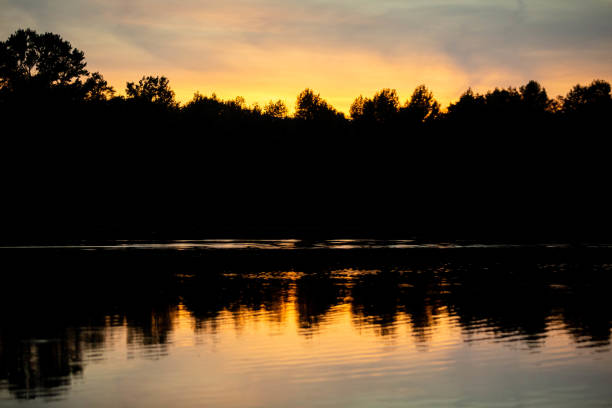 istock Sunset at forest lake with trees shadows 1056105036
