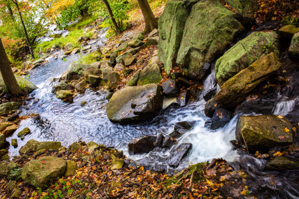 istock Peaceful autumn river waterfall with golden leafs 1056105106
