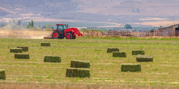 istock Red tractor and old barn on a field in Utah Valley 1056105116