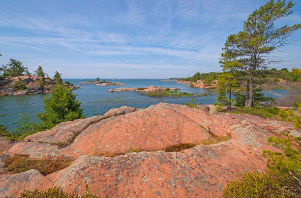 istock Wildblown Trees along a Remote Lakeshore 1056107838