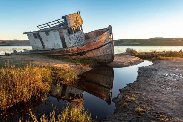 istock Point Reyes Shipwreck clear skies reflection 1056112394