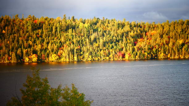 istock Forest at the water's edge with autumn colors 1056116606