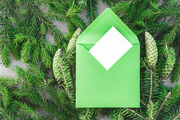Fir branches with cones and green envelope with a blank greeting card.