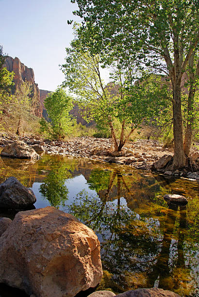 River at Fish Creek Canyon stock photo