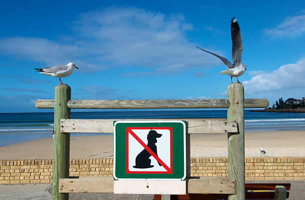 istock No Dogs Sign 105615363