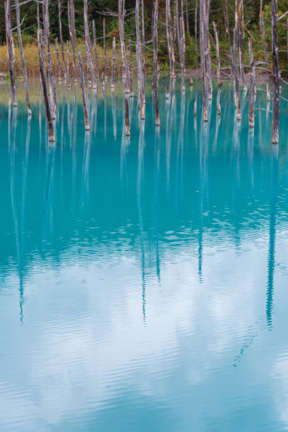 istock blue pond in Biei, Hokkaido Japan. 1056154550