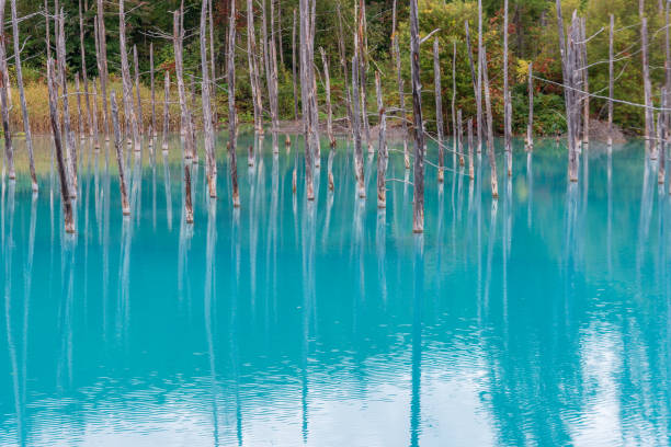istock blue pond in Biei, Hokkaido Japan. 1056154682