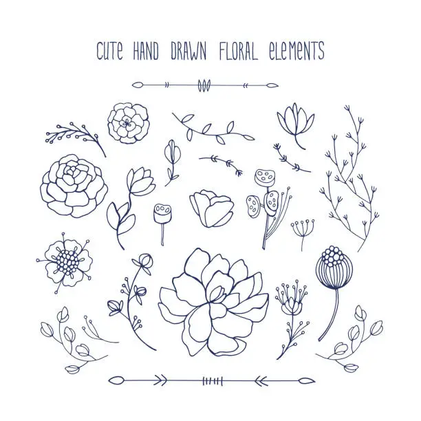 Vector illustration of Hand drawn floral elements collection Leaves flowers branches