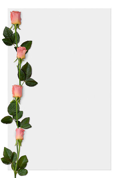 istock Frame paper with roses love letter romantic background 105615960