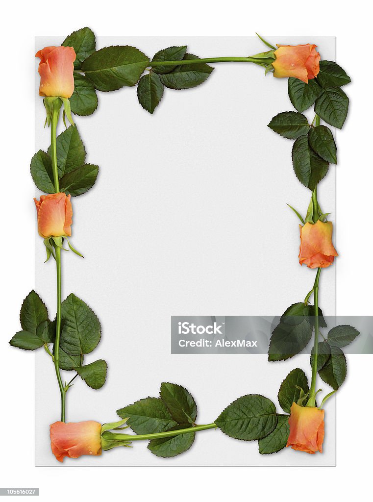 Di Rose fiori di carta bianca in cornice sfondo illustrazione - Foto stock royalty-free di Album di ritagli