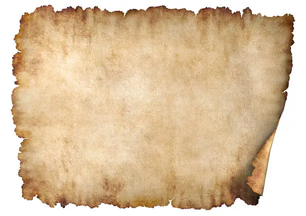 Photo of Horizontal parchment paper texture background