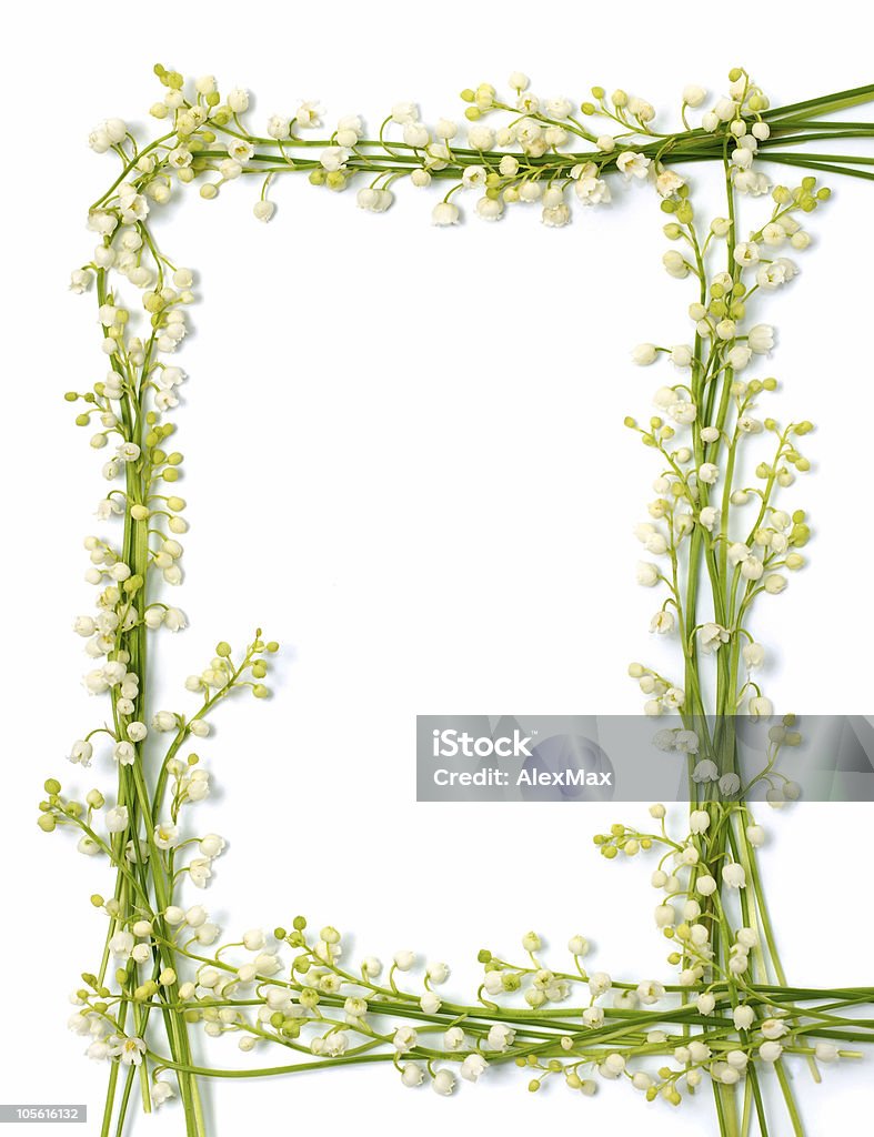 Lily do vale flores em papel fundo de quadro - Foto de stock de Beleza royalty-free