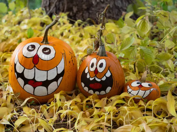 Three smiling painted jack-o-lantern pumpkins, a large, medium and small, sitting among dried leaves with a tree trunk in the background. Shallow depth of field.