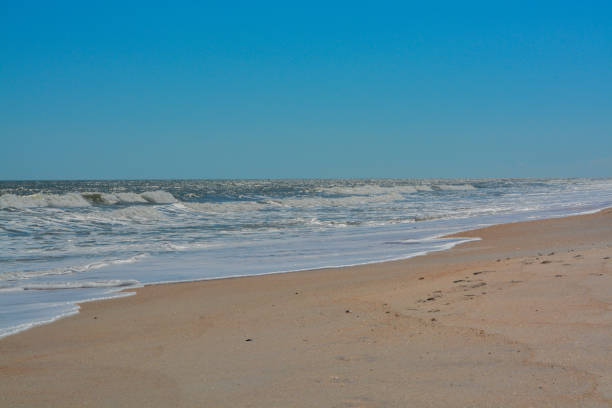 istock North Beach Guana River Preserve on the Atlantic Ocean in Florida 1056164128